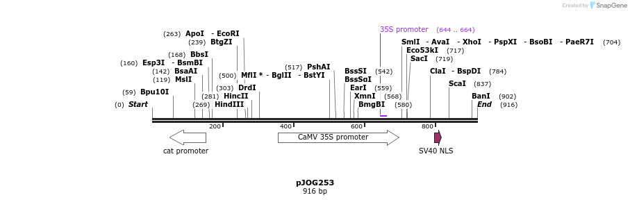 156259_map