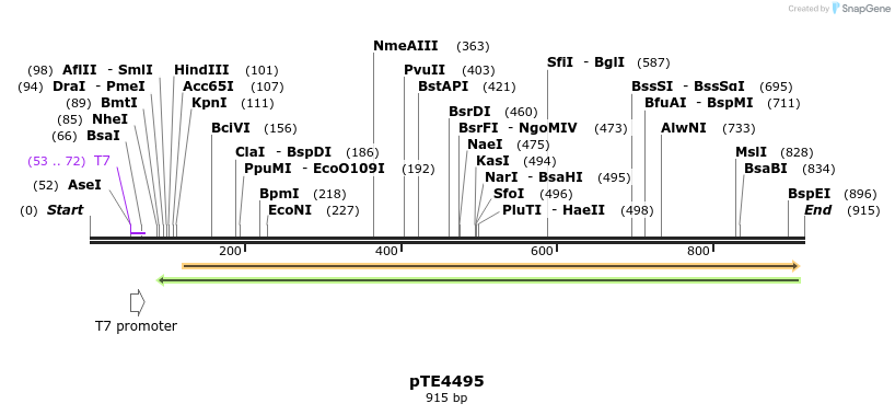156260_map