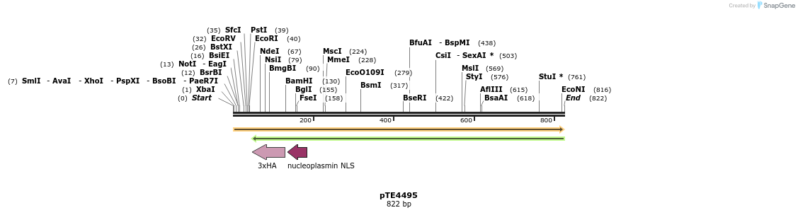 156261_map