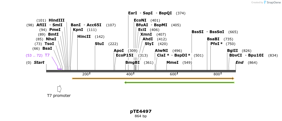 156266_map