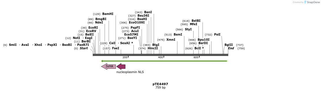 156267_map