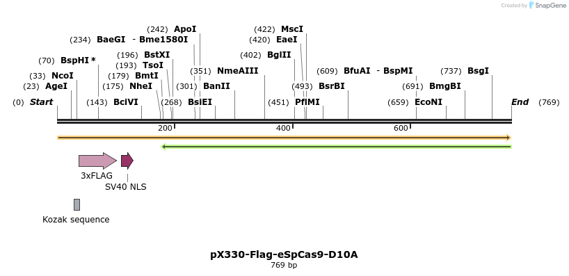 156287_map