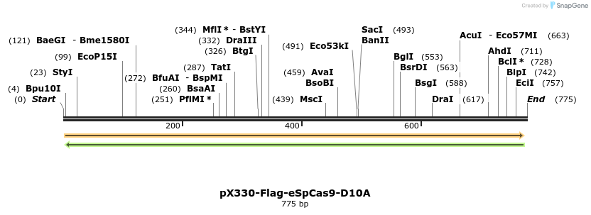 156289_map