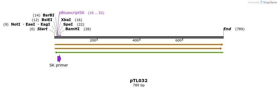 156293_map