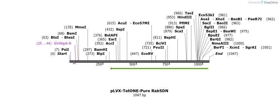 156294_map