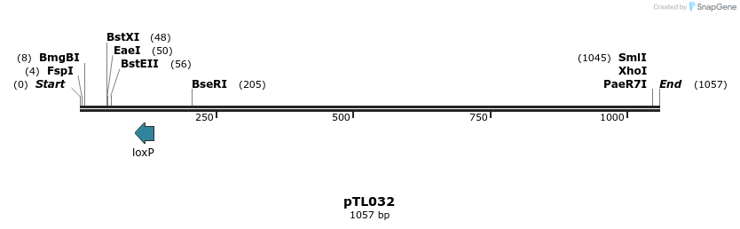 156295_map
