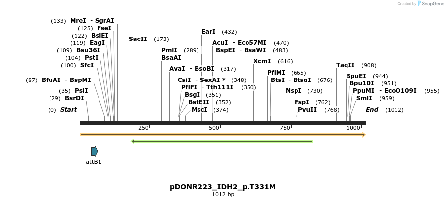 156296_map