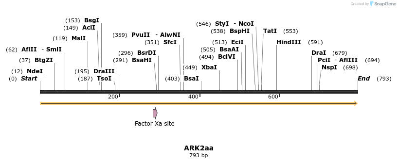 156297_map