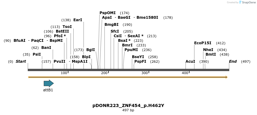 156304_map