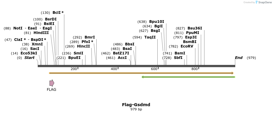 156308_map