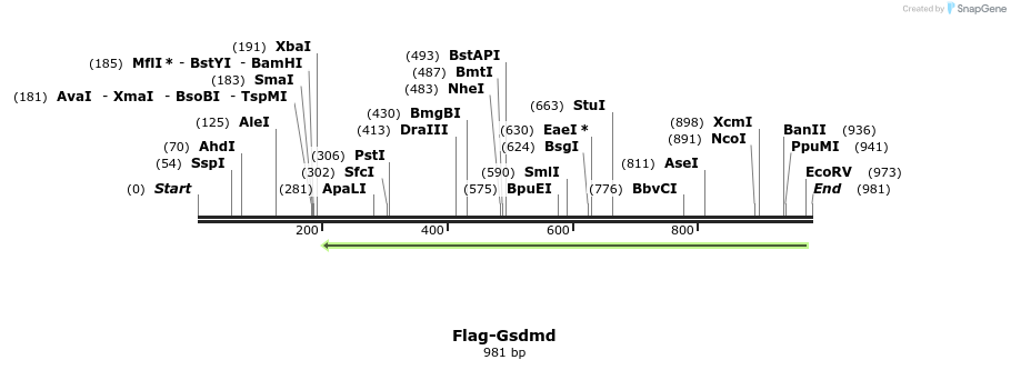156309_map
