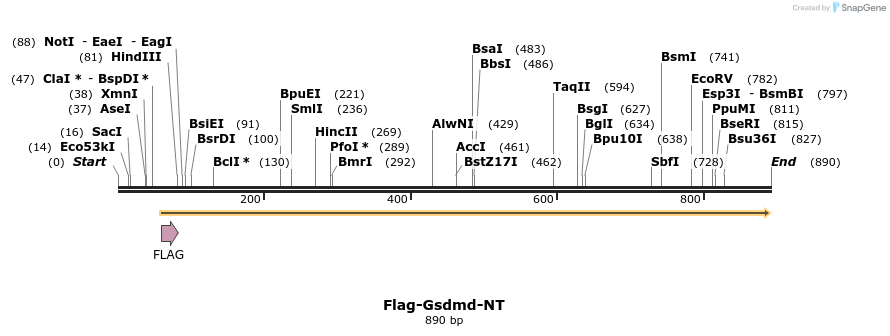 156311_map