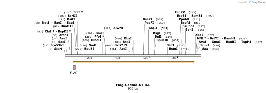 156314_map