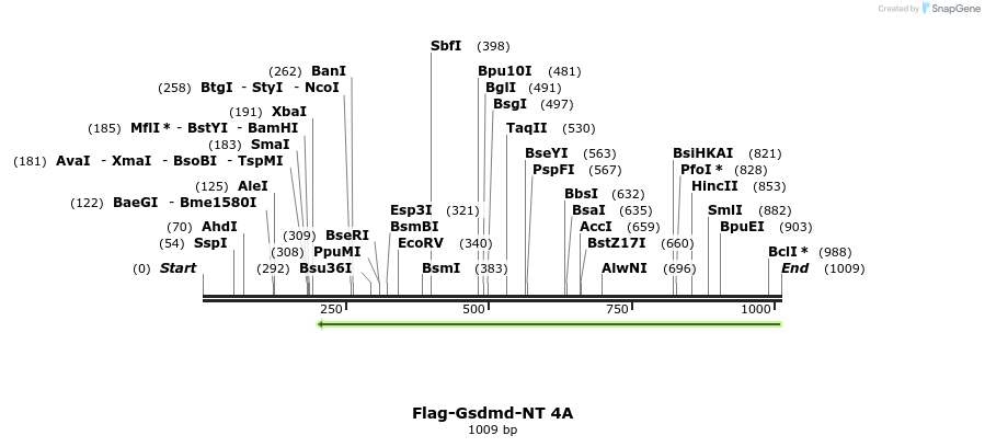 156316_map