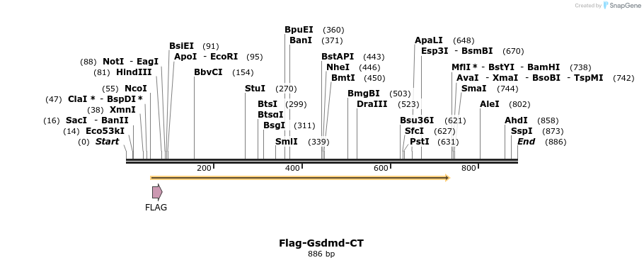 156317_map