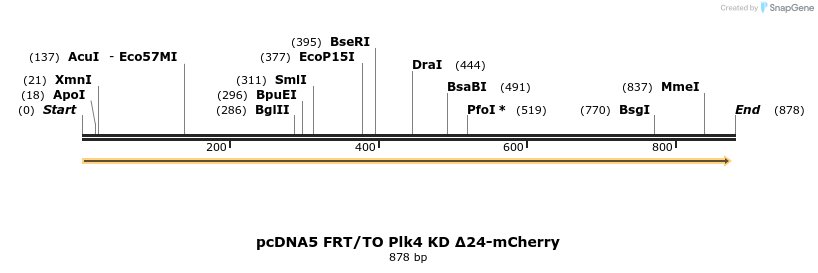 156329_map
