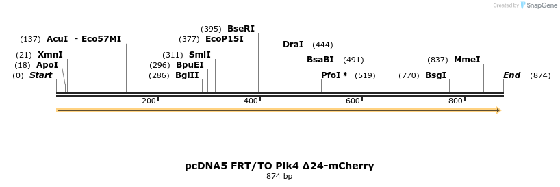 156330_map