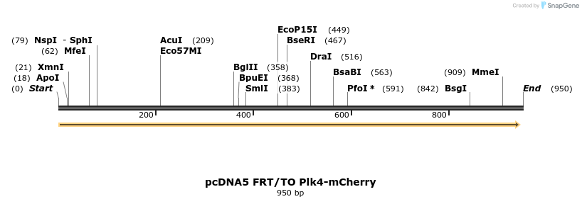 156332_map