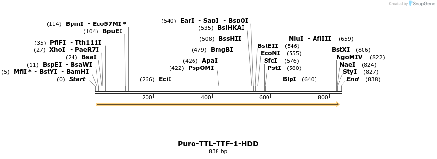 156336_map