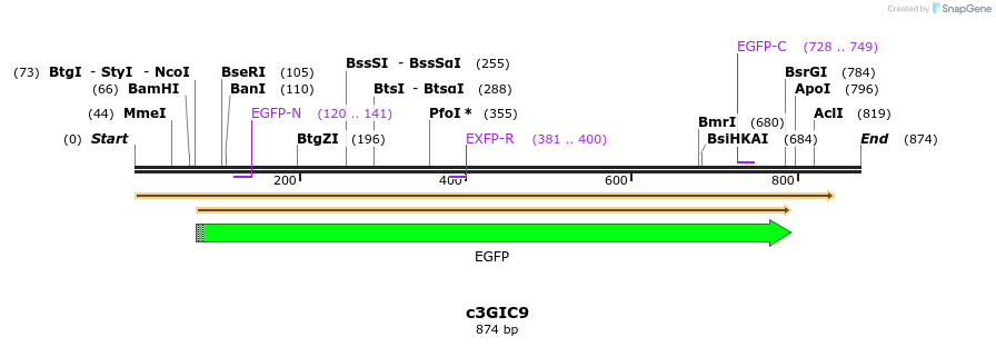 156337_map