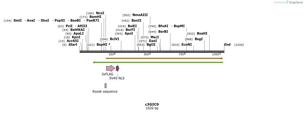 156338_map