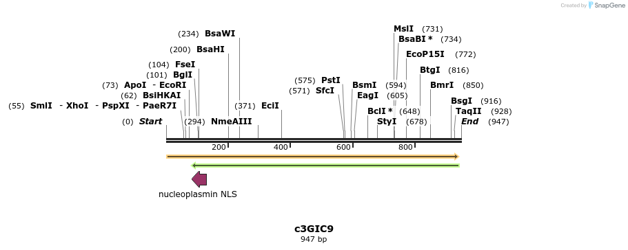 156340_map