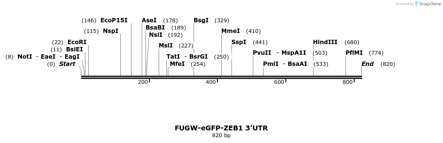 156348_map