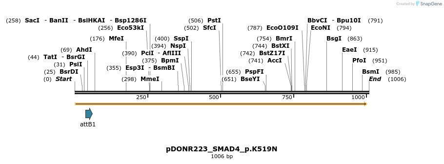 156349_map