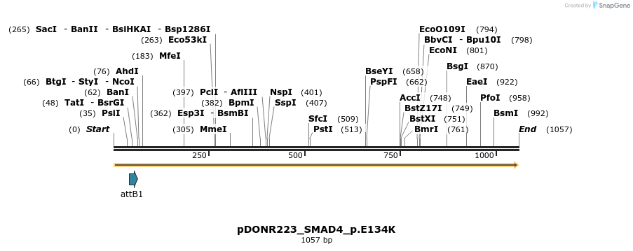 156351_map