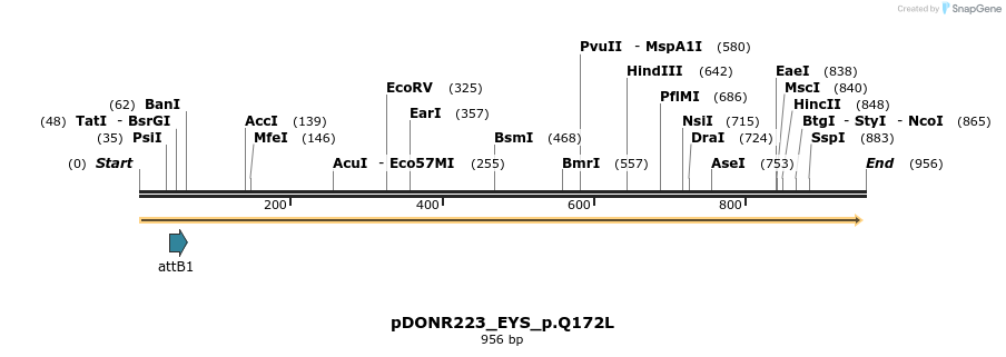 156355_map