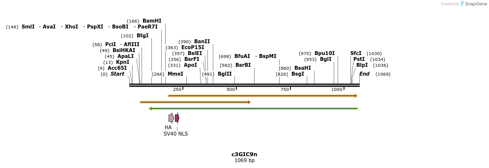 156358_map