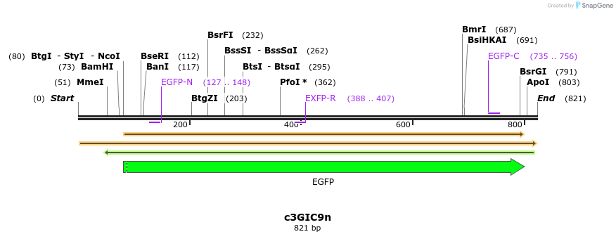 156361_map