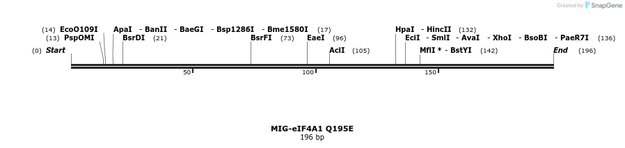 156366_map