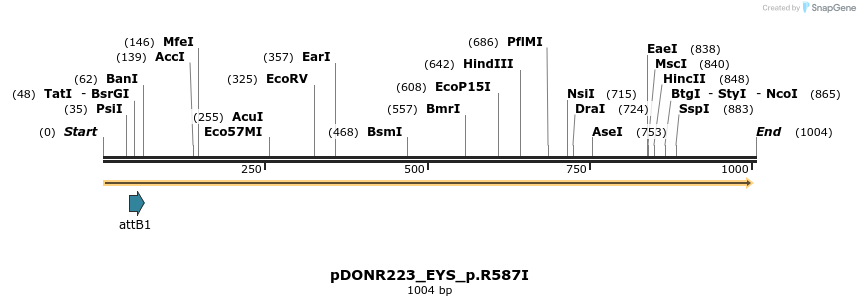 156368_map