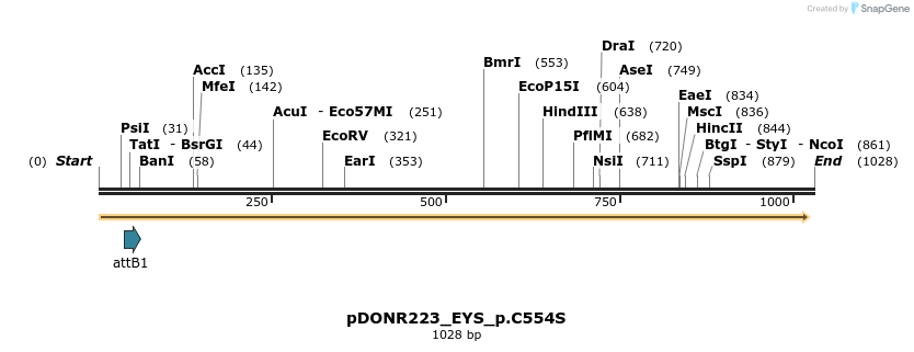156370_map