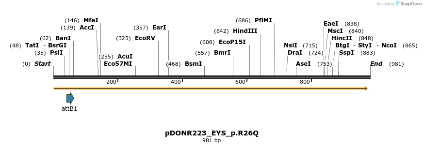 156373_map