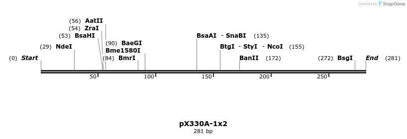 156374_map