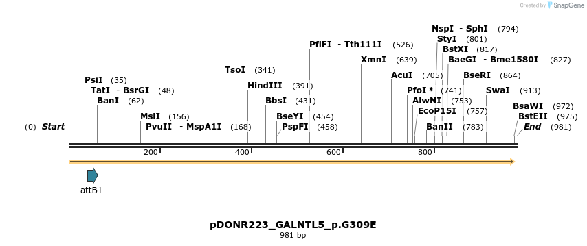 156375_map