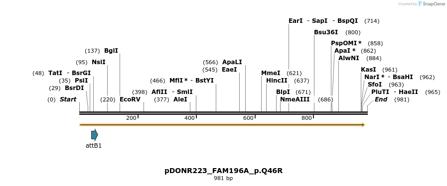 156376_map
