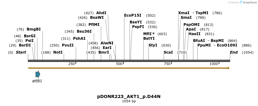 156381_map
