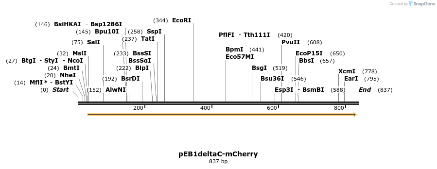 156384_map