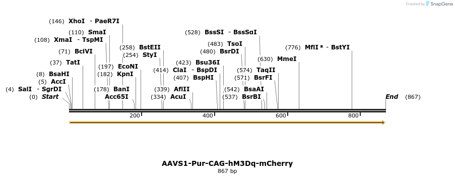 156398_map