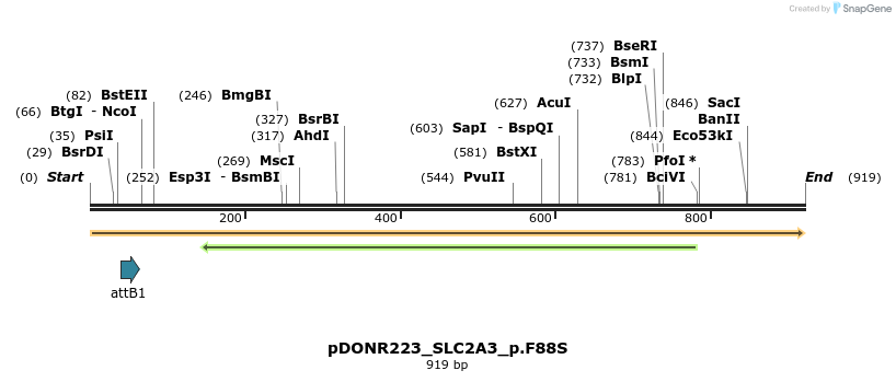 156419_map