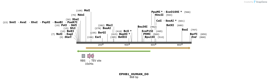 156436_map
