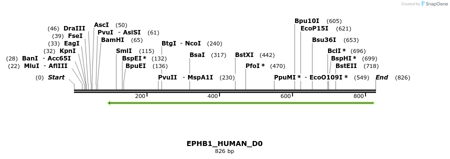 156437_map