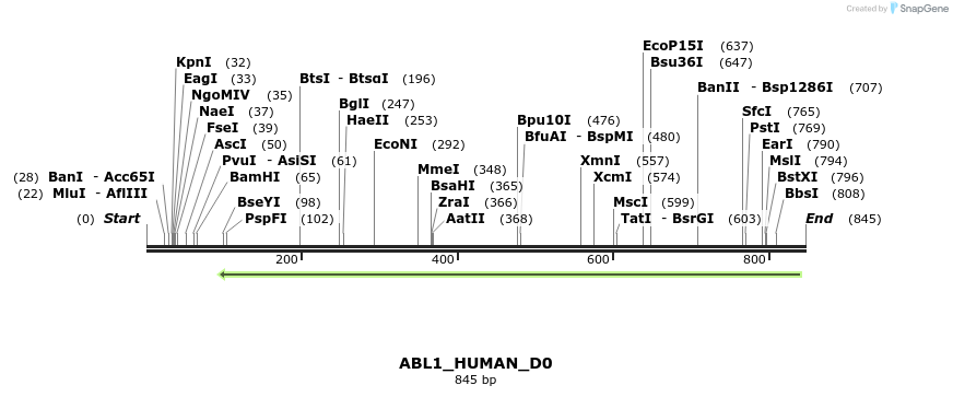 156439_map