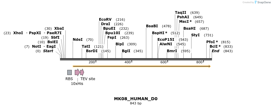 156442_map