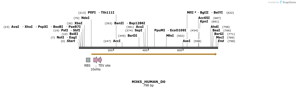 156446_map