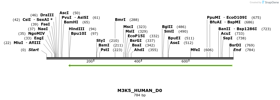 156447_map