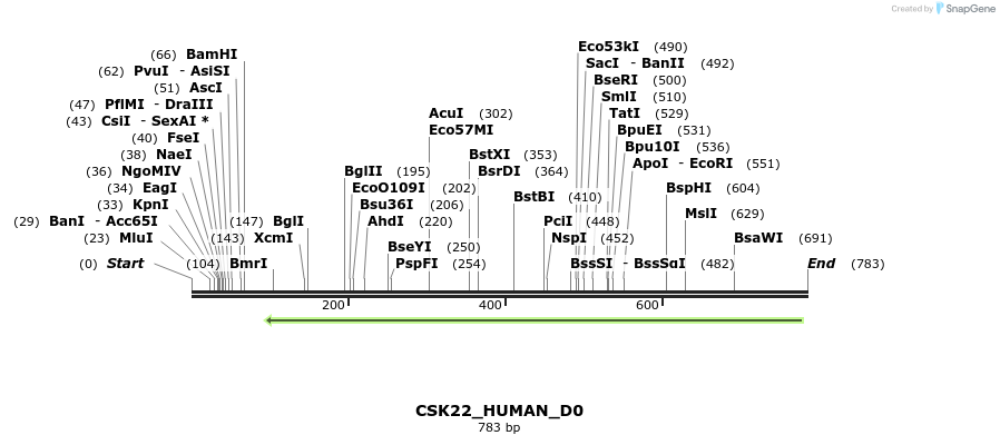156452_map